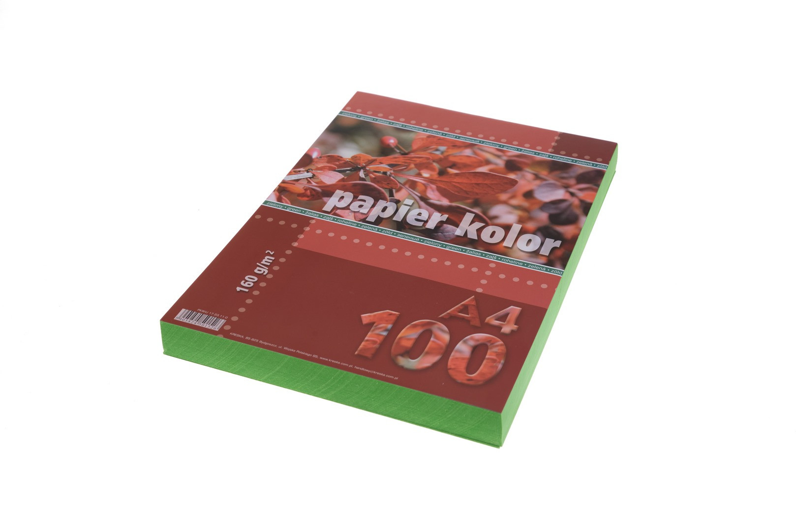 Papier ksero A4 160g 100ark. zielony